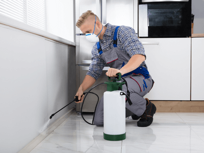 About Pest Control Near Me - pest control services experts in Newark