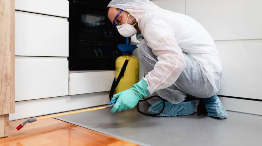 Why choose Pest Control Near Me for pest control services in Newark